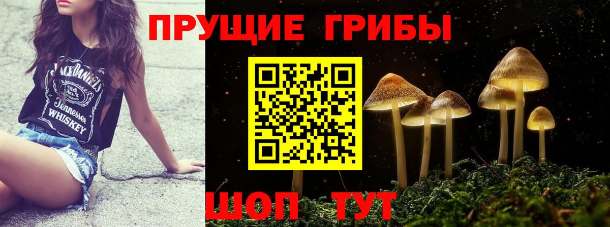 Псилоцибиновые грибы мицелий  Псилоцибиновые грибы мицелий  Костомукша  Вход с VPN 