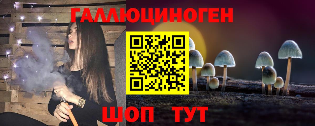 Псилоцибиновые грибы Psilocybe Костомукша