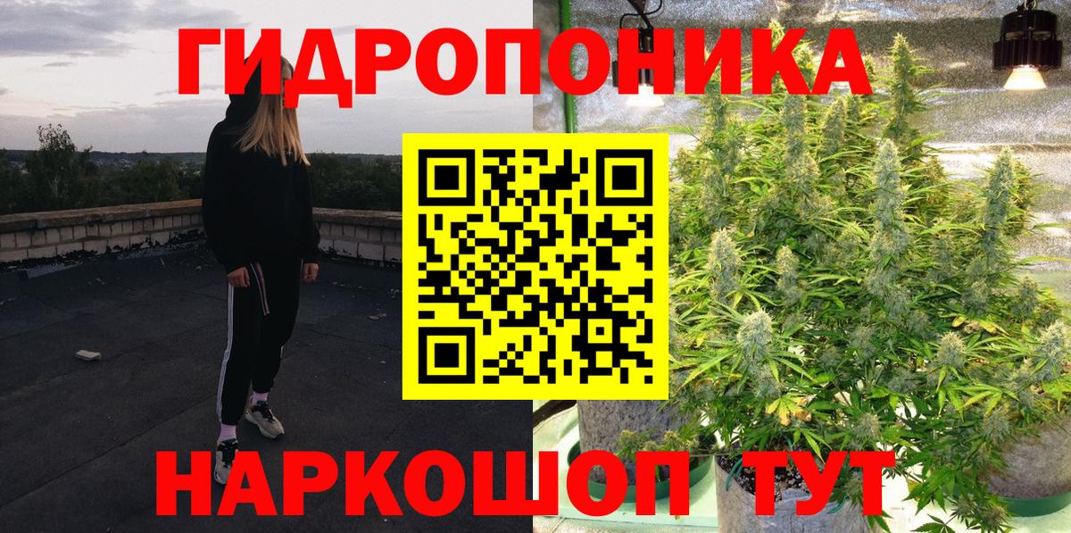 Конопля ГИДРОПОН  Шишки марихуана VHQ  Канабис конопля  Вход с VPN  Костомукша 